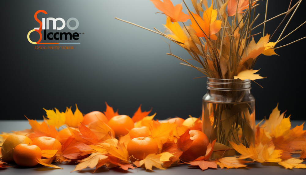 Pourquoi faire un changement de vitre ?